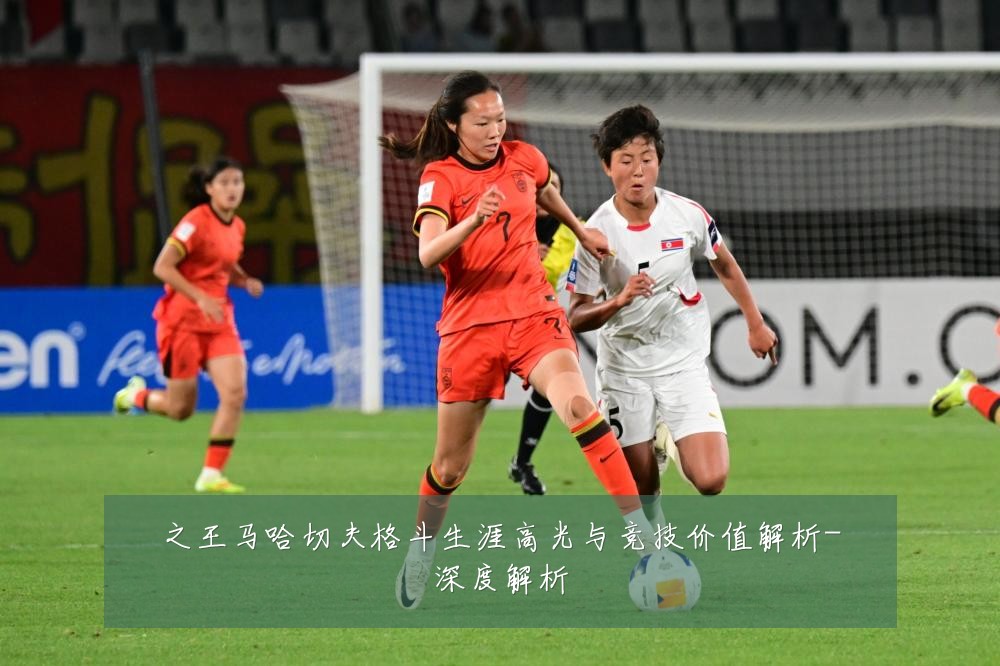 之王马哈切夫格斗生涯高光与竞技价值解析-深度解析